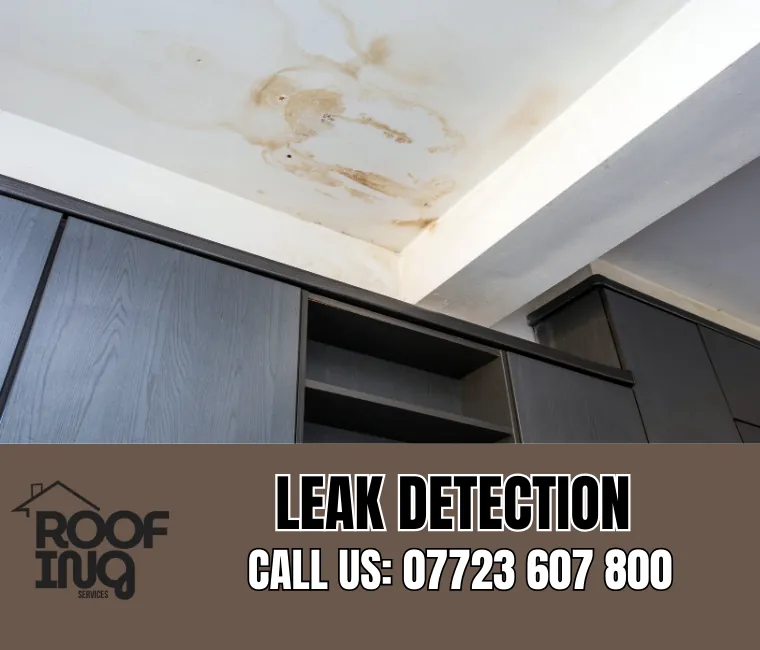 Roof Leak Detection in Brixham