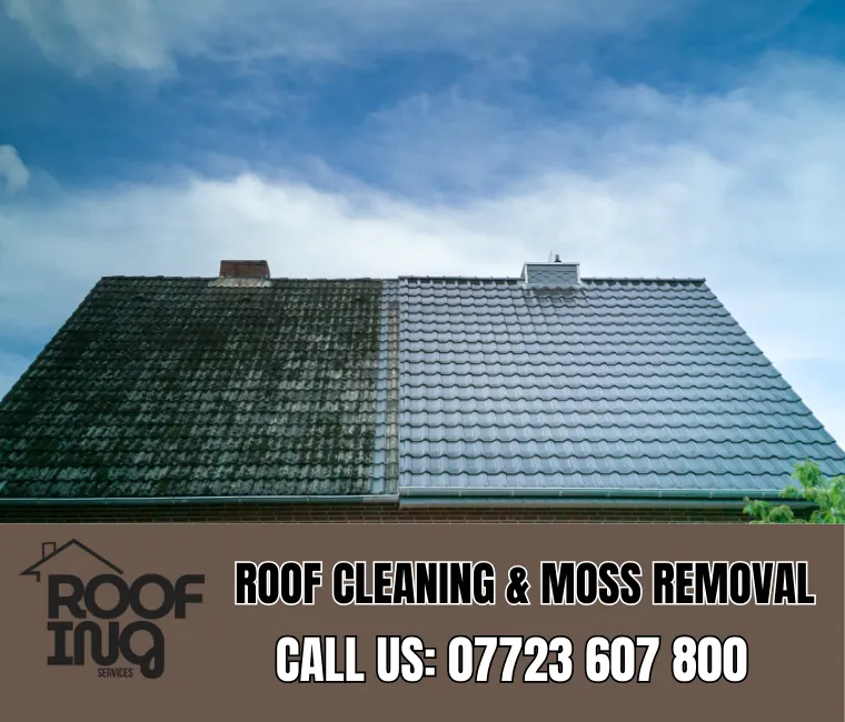 Roof cleaning and moss removal in Brixham